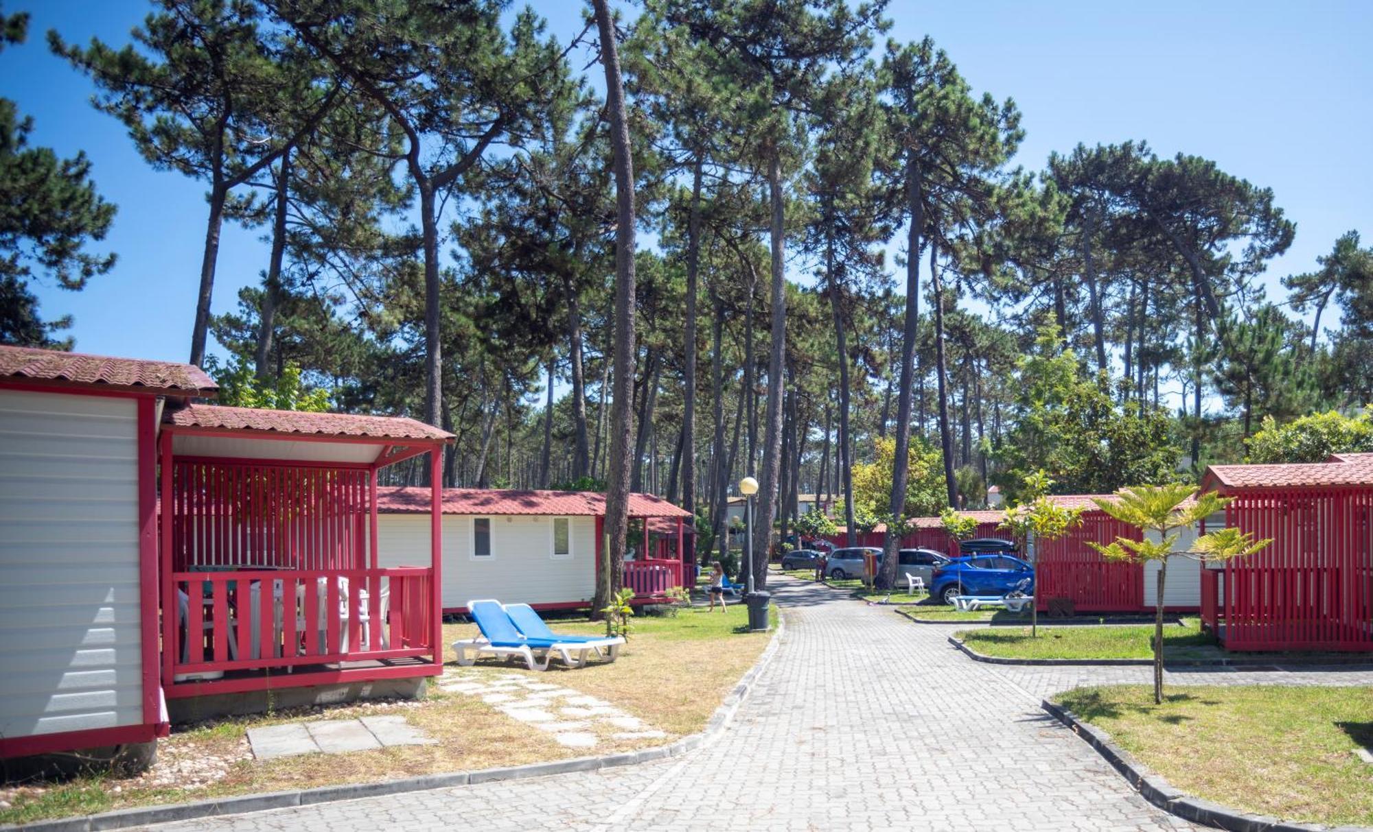 Parque De Campismo Orbitur Sao Pedro De Moel Ξενοδοχείο Δωμάτιο φωτογραφία